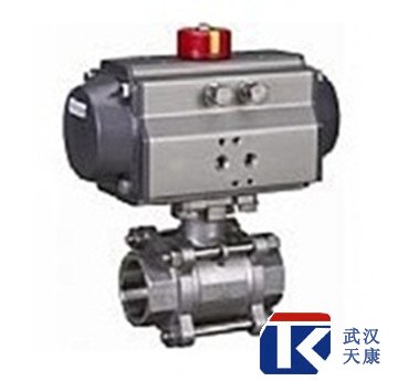 ������Ƭʽ��