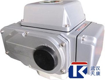 ����ʽ�綯ִ�л���