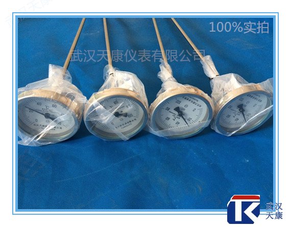 ������˫�����¶ȼƣ�WSS-301/401/501