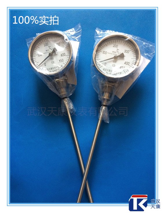 ������˫�����¶ȼƣ�WSS-311/411/511