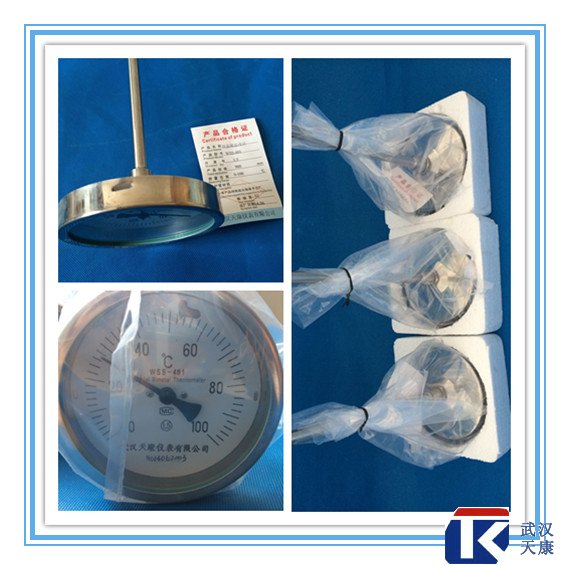 ˫�����¶ȼ� WSS-301/401/501