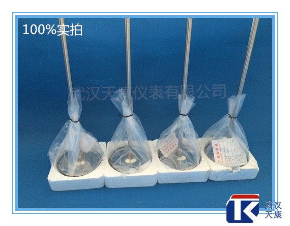 ˫�����¶ȼ� WSS-301/401/501