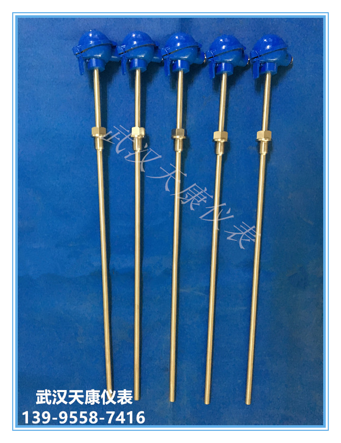 һ�廯�ȵ���/pt100�ȵ���